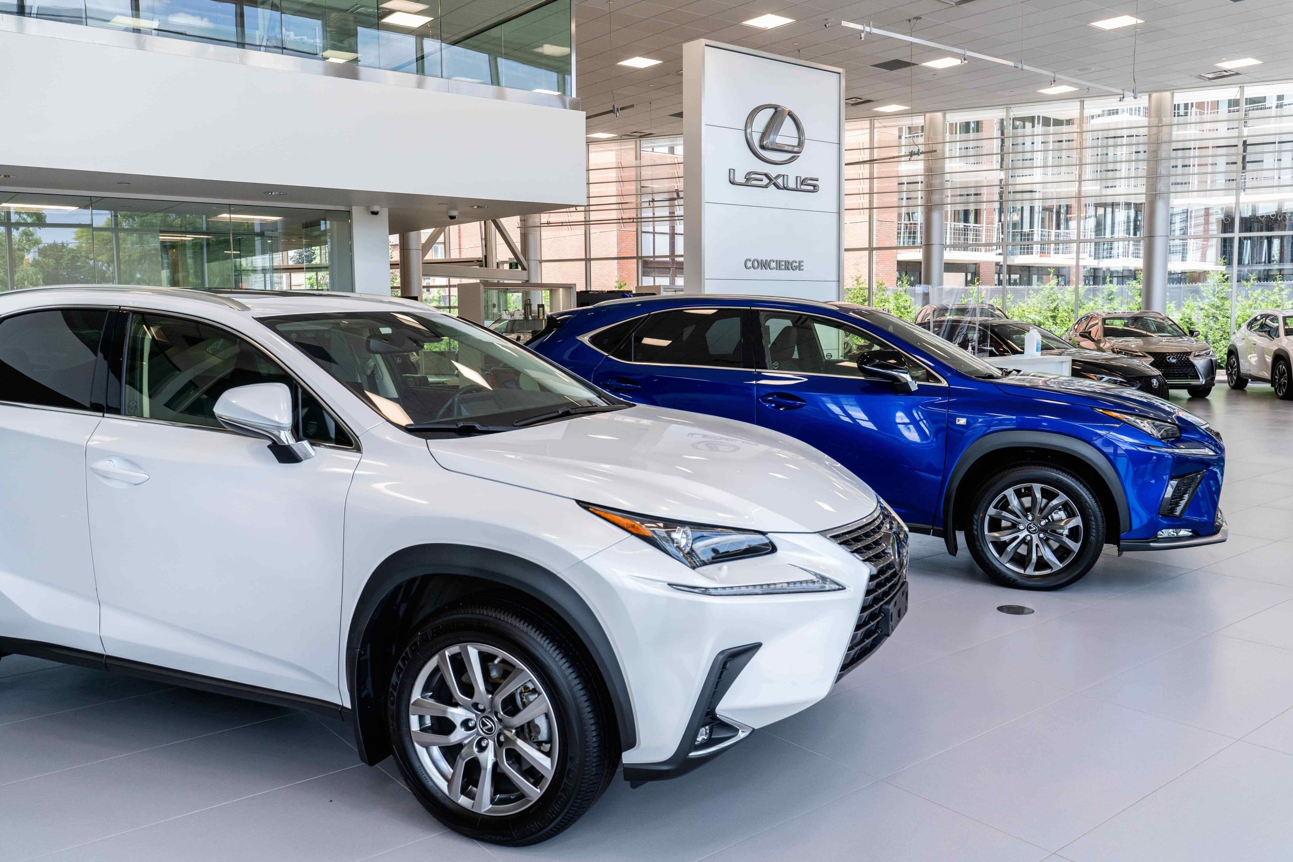 Lexus SUVs displayed inside a modern Lexus dealership showroom with concierge sign visible